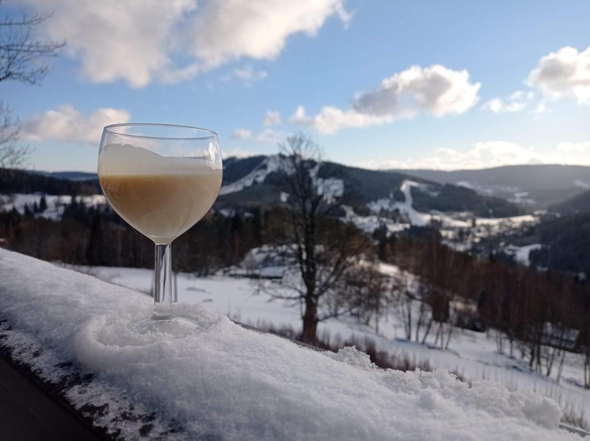 Apartmany Kynast Albrechtice v Jizerskych horach Bagian luar foto